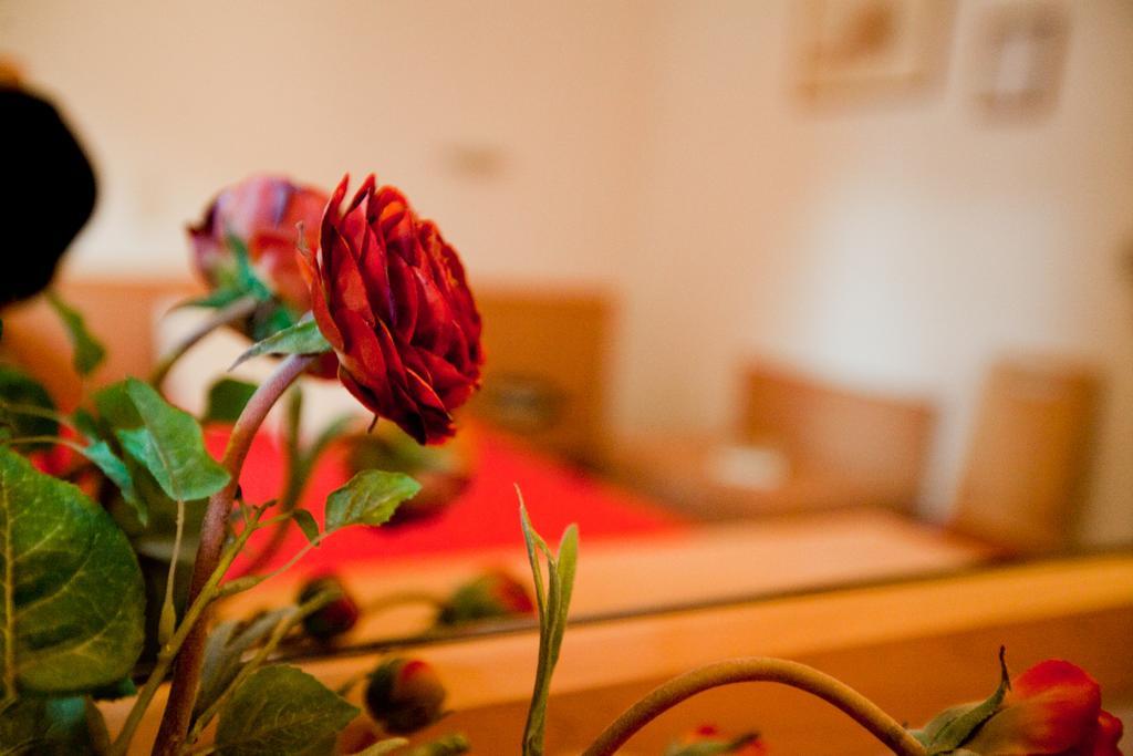 Hotel Possidon Aegina Pokoj fotografie